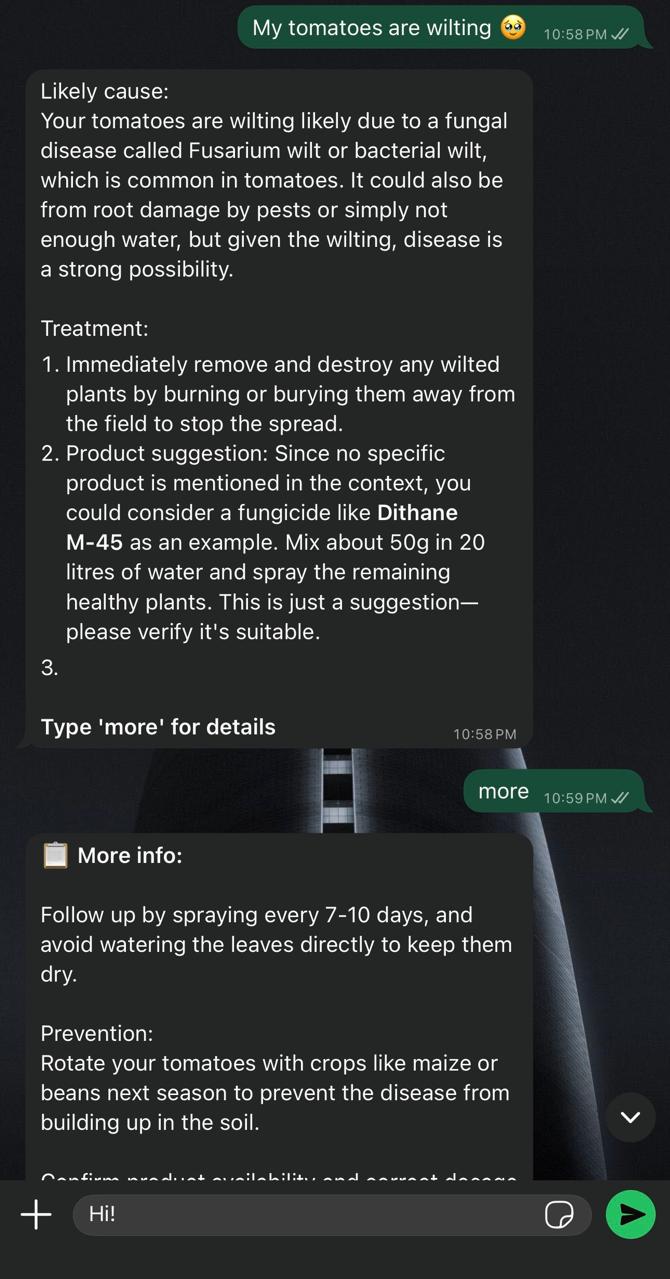 FarmVisor: tomato wilting diagnosis and treatment at midnight
