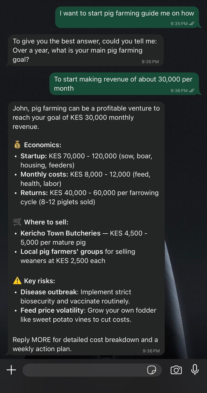 FarmVisor: pig farming business plan with KES 30,000/month revenue goal